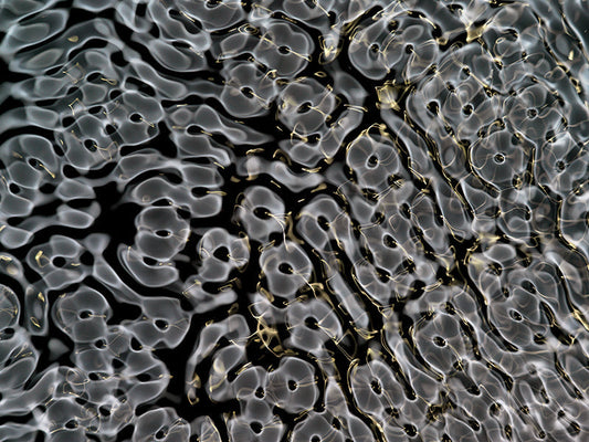 Eye-catching visuals of gravitational wave phenomena