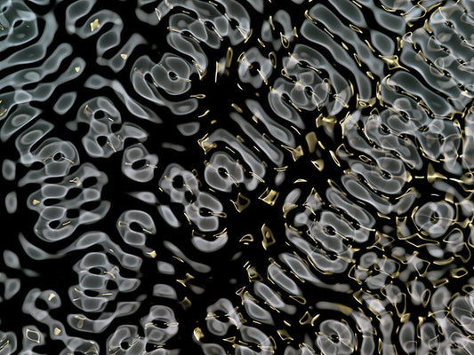 Creative illustrations of gravitational wave concepts