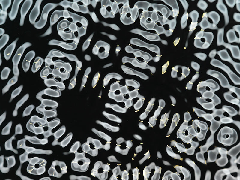 Vibrant visuals of gravitational waves for advertising campaigns