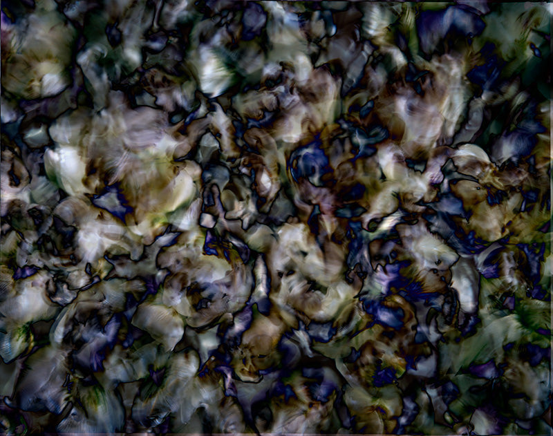 Underwater analogue photograph, abstract, warm low light tonality