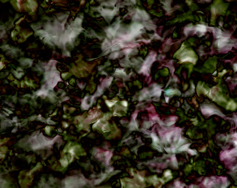Underwater analogue photograph, abstract, warm low light tonality