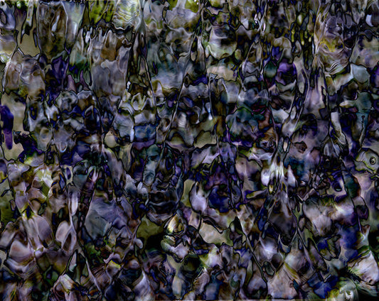 Underwater analogue photograph, 8.2 floral abstract, cool low light tonality