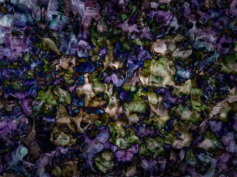 Underwater photograph floral Cool Low Light tonality