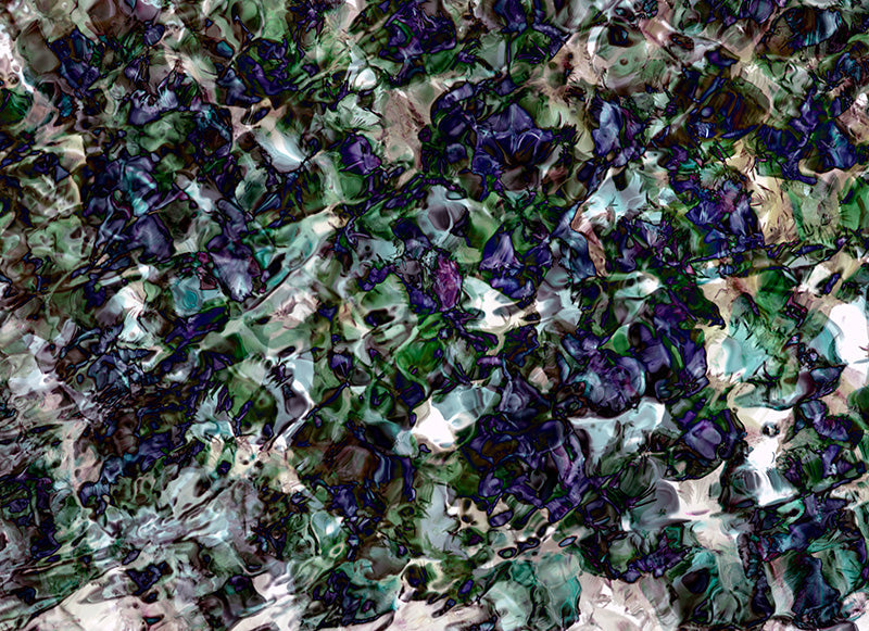 Underwater photograph floral Cool Mid Tone tonality