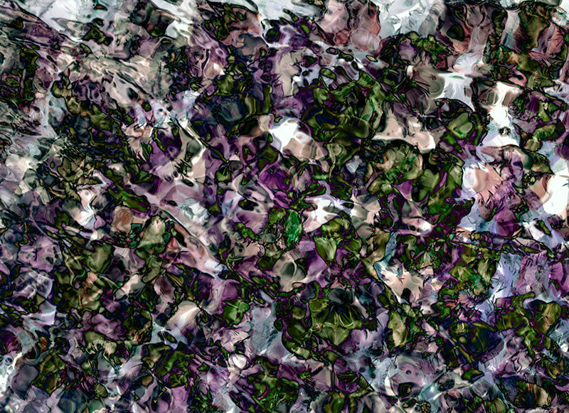 Underwater photograph floral Warm Mid Tone tonality
