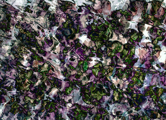 Underwater photograph floral Warm Mid Tone tonality