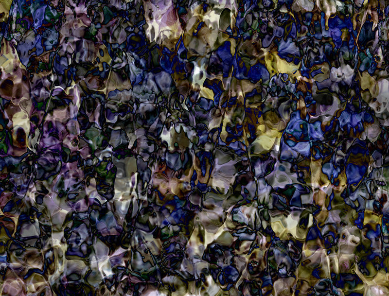 Underwater photograph floral Warm Low Light tonality