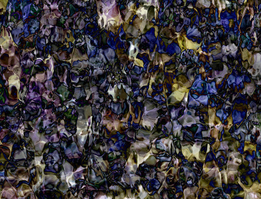 Underwater photograph floral Warm Low Light tonality