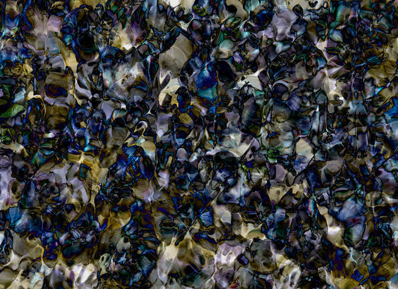 Underwater photograph floral Cool Low Light tonality