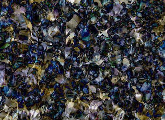 Underwater photograph floral Cool Low Light tonality