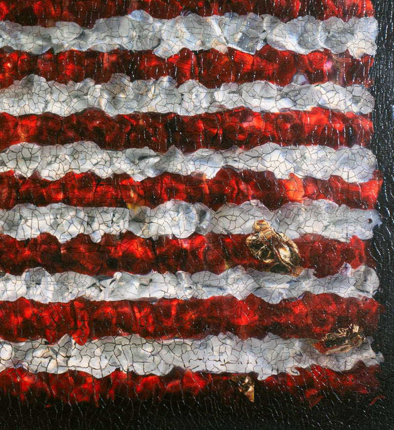 Signed limited edition flag print on aluminium
