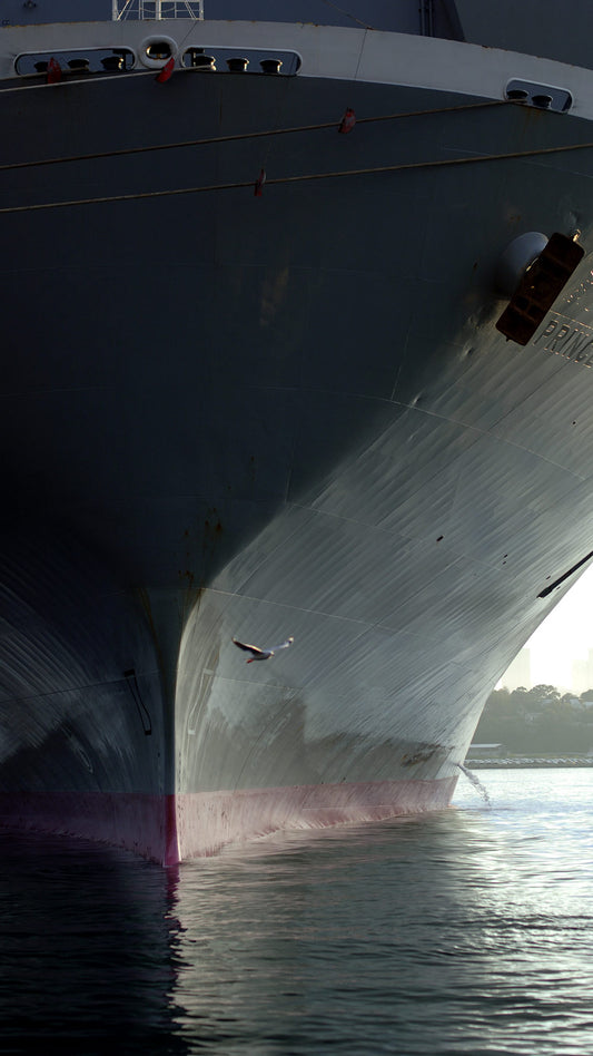 Working Water Ships Hull Flight Seagull - Digital Art Download   - €2.40 | Shop now & buy direct from the artists studio - Distil Ennui ™ est.1990.