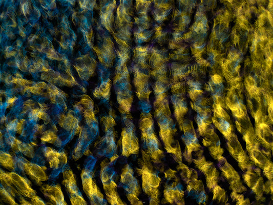 unique 64*46*6cms Shou Sugi Ban framed photographic print 'Plate No. 0733'   - €3280 | Shop now & buy direct from the artists studio - Distil Ennui ™ est.1990.