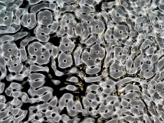 Underwater photograph day ii water light science experiments Verdant Mid Tone tonality from Cymatic Water and Light