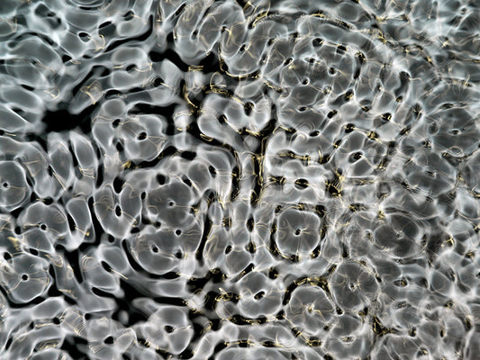 Underwater photograph day ii water light science experiments Verdant Mid Tone tonality from Cymatic Water and Light