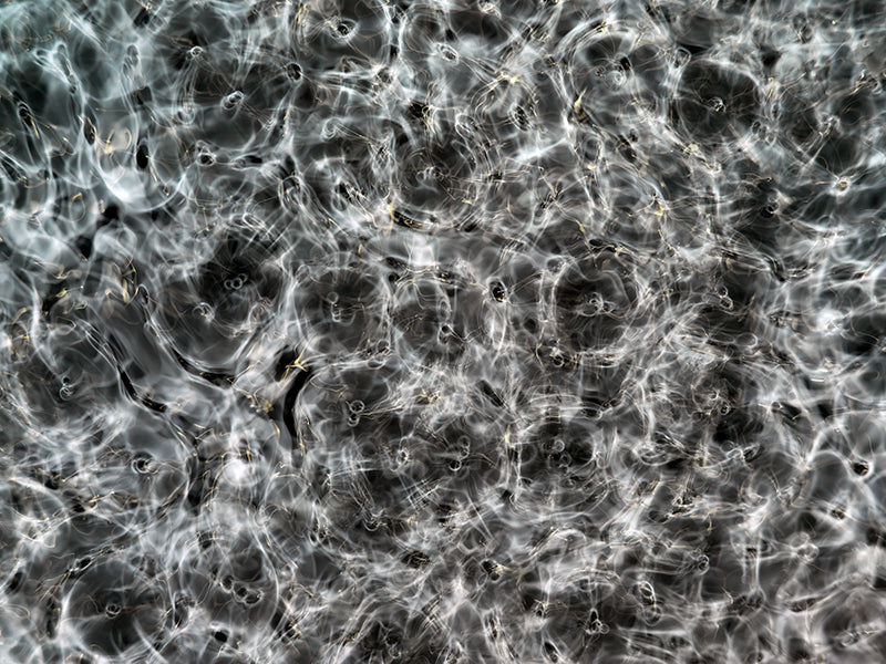 Underwater photograph day ii water light science experiments Verdant Mid Tone tonality from Cymatic Water and Light