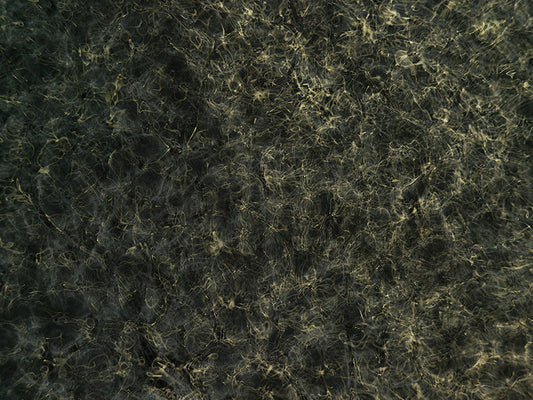 Underwater photograph day ii water light science experiments Verdant Low Light tonality from Cymatic Water and Light