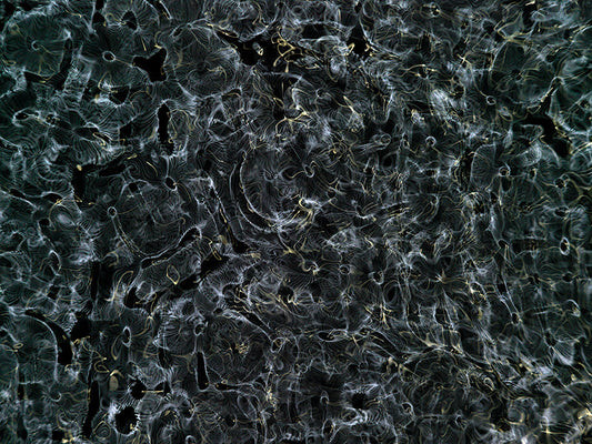 Underwater photograph day ii water light science experiments Verdant Low Light tonality from Cymatic Water and Light