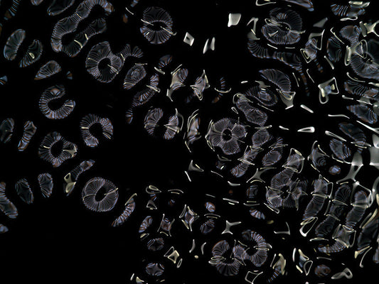 Underwater photograph day ii water light science experiments Cool Low Light tonality from Cymatic Water and Light