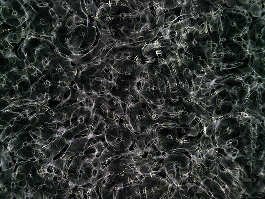 Underwater photograph day ii water light science experiments Verdant Low Light tonality from Cymatic Water and Light