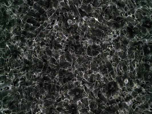 Underwater photograph day ii water light science experiments Verdant Low Light tonality from Cymatic Water and Light