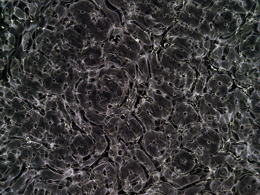 Underwater photograph day ii water light science experiments Warm Low Light tonality from Cymatic Water and Light