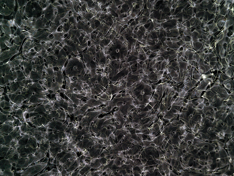 Underwater photograph day ii water light science experiments Verdant Low Light tonality from Cymatic Water and Light