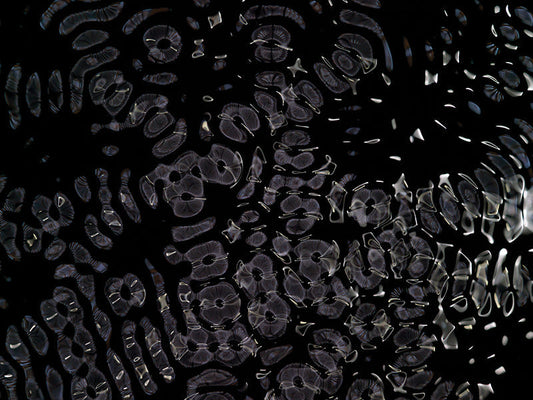 Underwater photograph day ii water light science experiments Cool Low Light tonality from Cymatic Water and Light