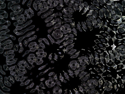 Underwater photograph day ii water light science experiments Cool Low Light tonality from Cymatic Water and Light