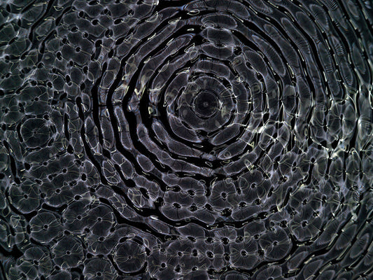 Underwater photograph day ii water light science experiments Cool Low Light tonality from Cymatic Water and Light