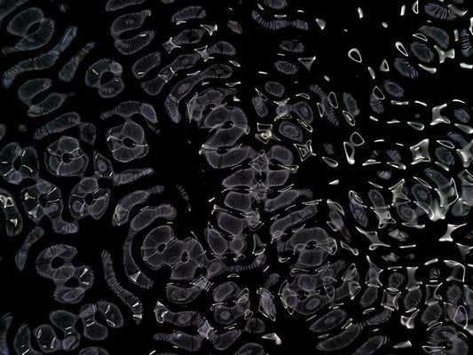 Underwater photograph day ii water light science experiments Cool Low Light tonality from Cymatic Water and Light