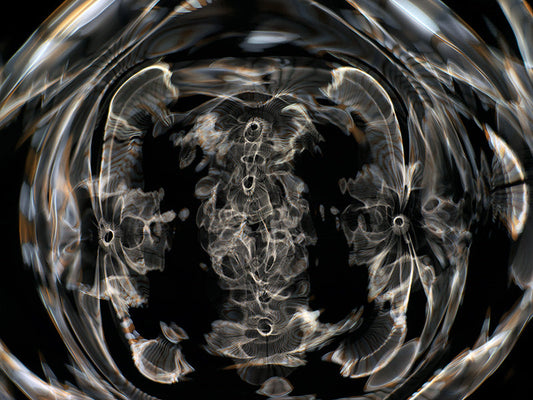 Underwater photograph day iii Warm Low Light tonality from Cymatic Water and Light