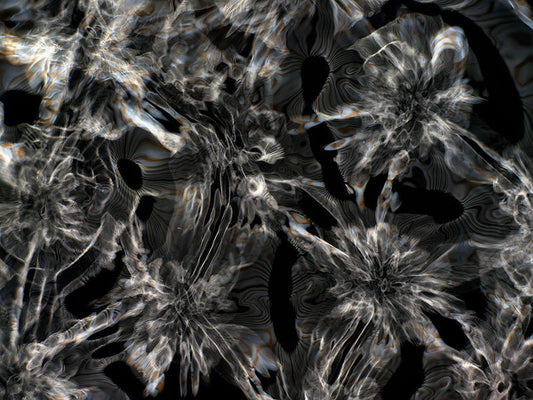 Underwater photograph day iii Warm Low Light tonality from Cymatic Water and Light