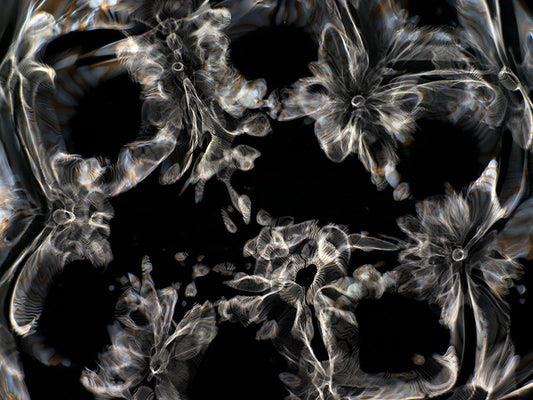 Underwater photograph day iii Warm Low Light tonality from Cymatic Water and Light