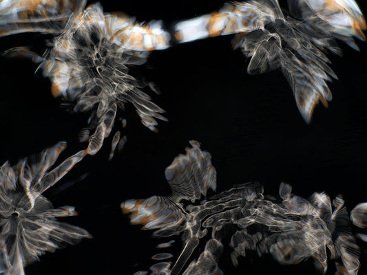 Underwater photograph day iii Warm Low Light tonality from Cymatic Water and Light