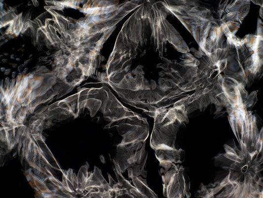 Underwater photograph day iii Warm Low Light tonality from Cymatic Water and Light