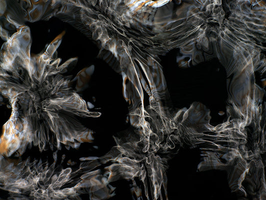 Underwater photograph day iii Warm Low Light tonality from Cymatic Water and Light