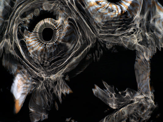 Underwater photograph day iii Warm Low Light tonality from Cymatic Water and Light