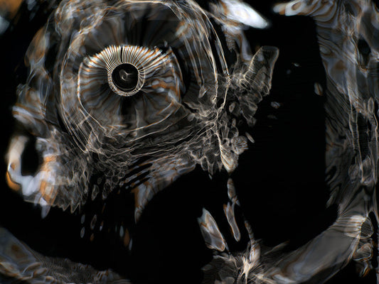 Underwater photograph day iii Warm Low Light tonality from Cymatic Water and Light