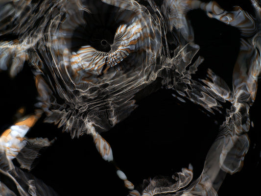 Underwater photograph day iii Warm Low Light tonality from Cymatic Water and Light