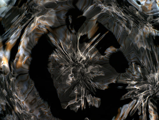 Underwater photograph day iii Warm Low Light tonality from Cymatic Water and Light