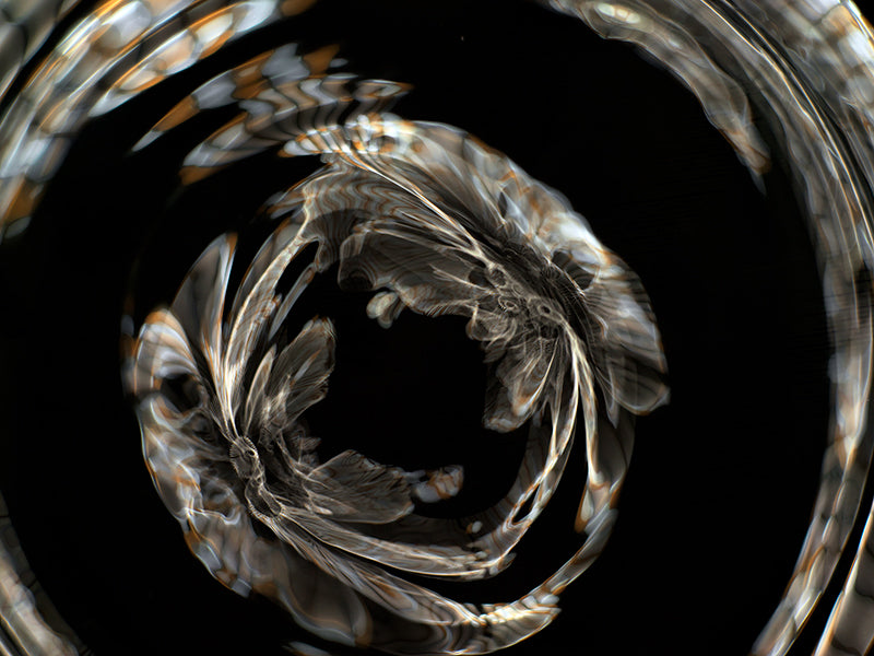 Underwater photograph day iii Warm Low Light tonality from Cymatic Water and Light