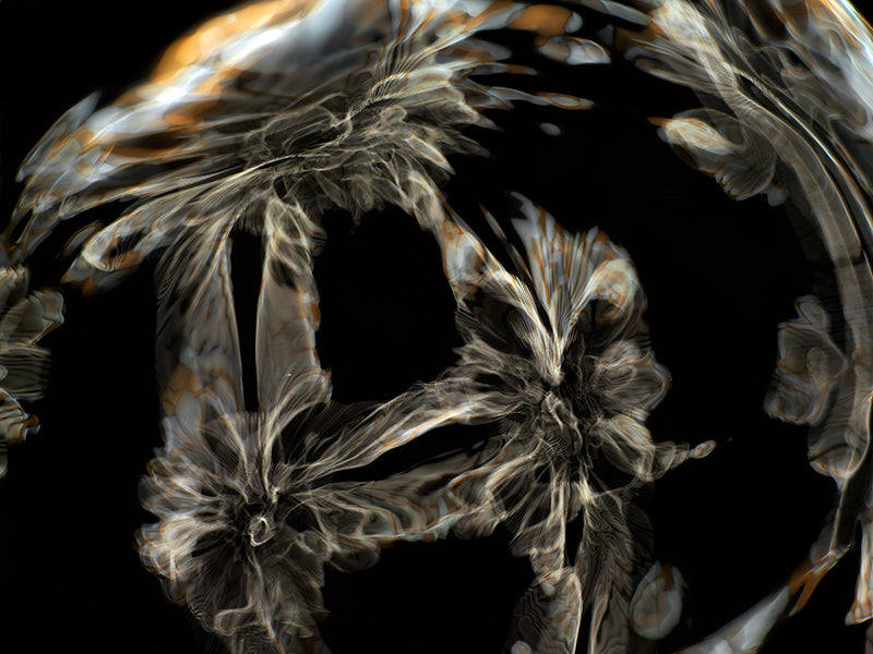 Underwater photograph day iii Warm Low Light tonality from Cymatic Water and Light