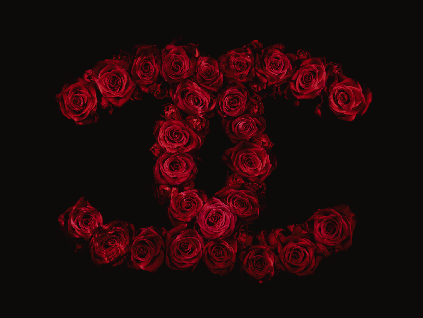 Chanel Brand Logo Created In Red Roses Underwater   - €2.40 | Shop now & buy direct from the artists studio - Distil Ennui ™ est.1990.
