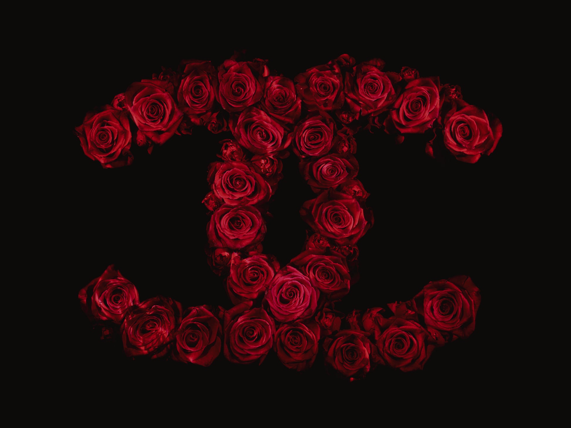 Chanel Brand Logo Created In Red Roses Underwater   - €2.40 | Shop now & buy direct from the artists studio - Distil Ennui ™ est.1990.