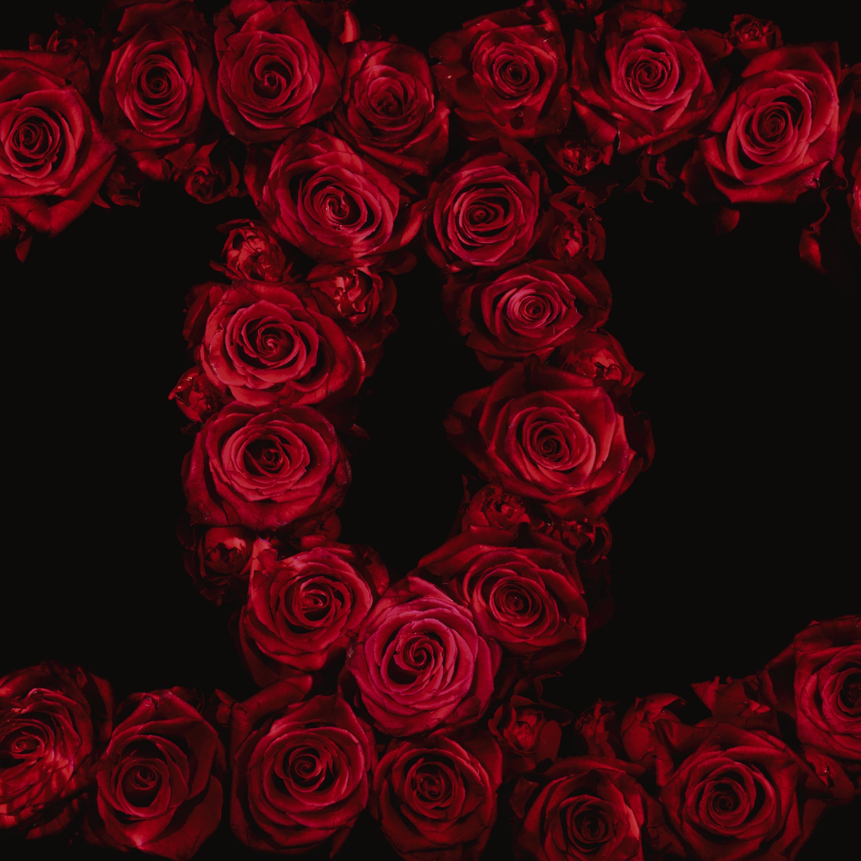 Chanel Brand Logo Created In Red Roses Underwater   - €2.40 | Shop now & buy direct from the artists studio - Distil Ennui ™ est.1990.