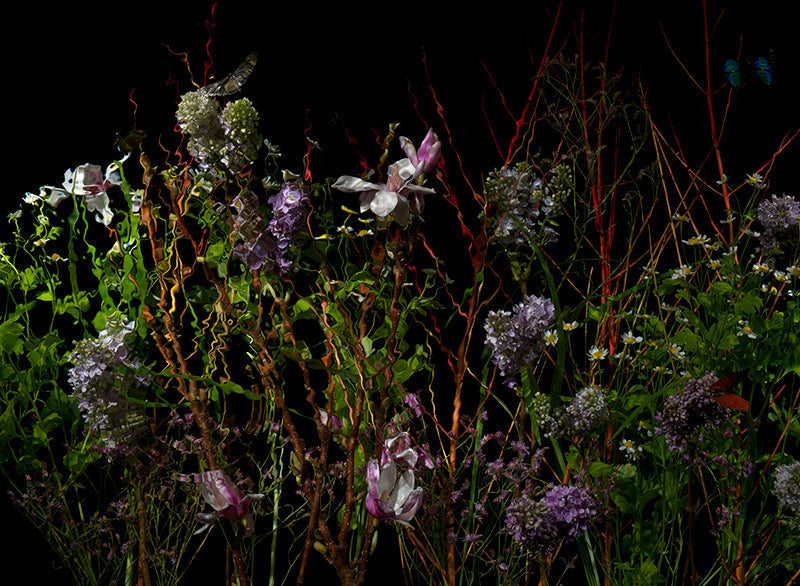 Underwater photograph floral vanitas Warm Low Light tonality