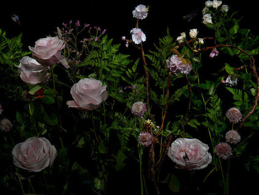 Underwater photograph floral vanitas Verdant Low Light tonality