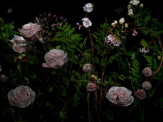 Underwater photograph floral vanitas Verdant Low Light tonality