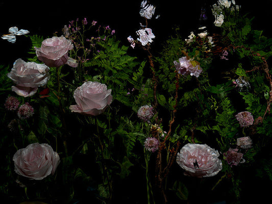Underwater photograph floral vanitas Verdant Low Light tonality